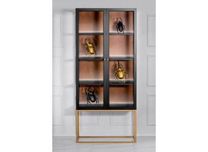 Vitrine Schränke Vitrinen Schrank Holz Glas Möbel Design Wohnzimmer Glasschrank
