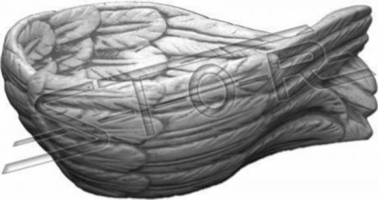 Dekoration Gefäße Schalen Schale Engel Flügel Schlüssel Ablage