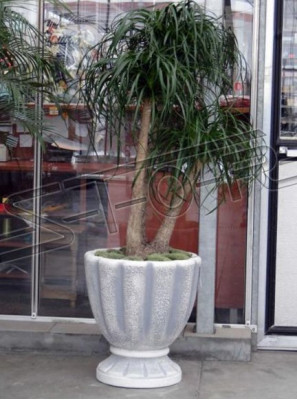Design Blumentopf Dekorative Top Planz Kübel Gefäß Töpfe Figur Gesicht