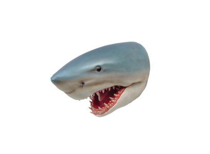 Skulptur Hai Wand Fisch Skulpturen Figuren Statuen Skulptur Statue Design 80cm