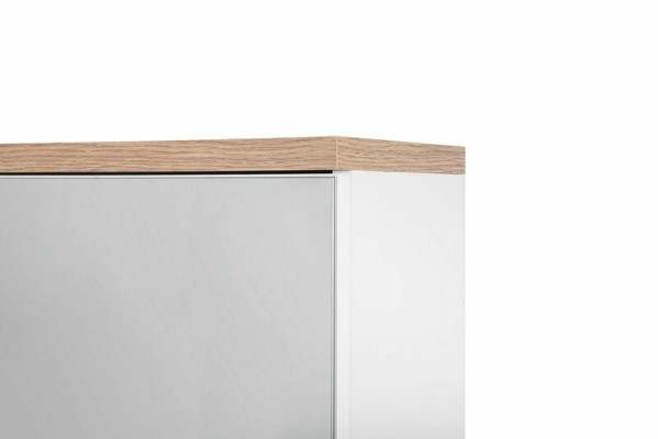 Spiegelschrank Badezimmerschrank Badspiegel 60x20x70 cm Schränke