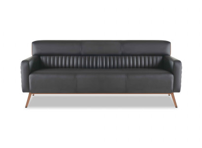 Arbeitszimmer 3-Sitzer Sofa Schwarz Einfarbig Modern Design Wohnzimmer