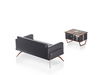 Arbeitszimmer-Set 2tlg 2-Sitzer mit Couchtisch Grau Braun Zweifarbig