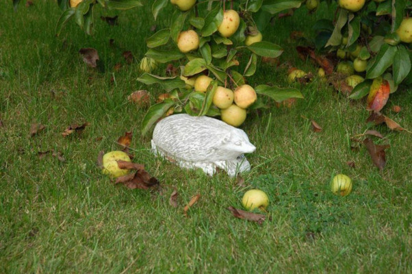 Garten Dekoration Igel Terrasse Stein Figuren Figur Deko Statue
