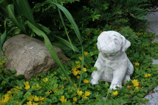 Garten Dekoration Hund Terrasse Stein Figur Figuren Weiß Dekorative Statue