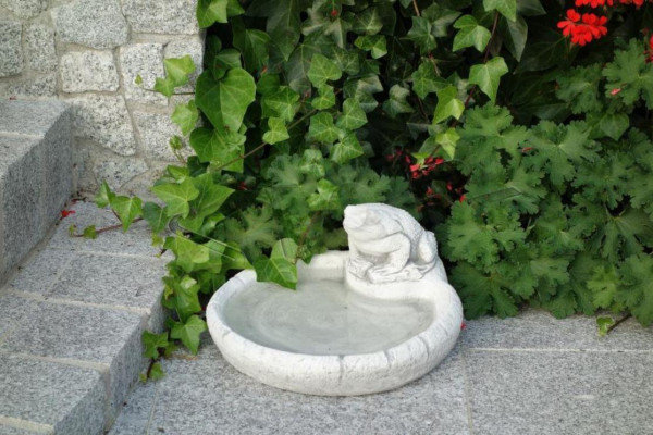Vogel Tränke Skulptur Design Figur Statue Dekor Garten Figuren Statuen