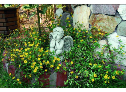 Grabschmuck Grab Stein Deko Dekoration Engel Figur Skulptur Gott Heilig