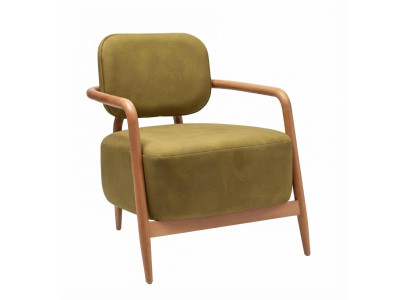 Grün Loungesessel Modernes Design Holzgestell Armlehnen Polsterstuhl